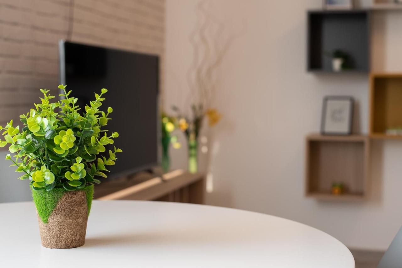 Art Apartment Târgu-Mureş Εξωτερικό φωτογραφία
