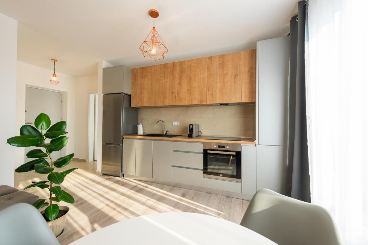 Art Apartment Târgu-Mureş Εξωτερικό φωτογραφία