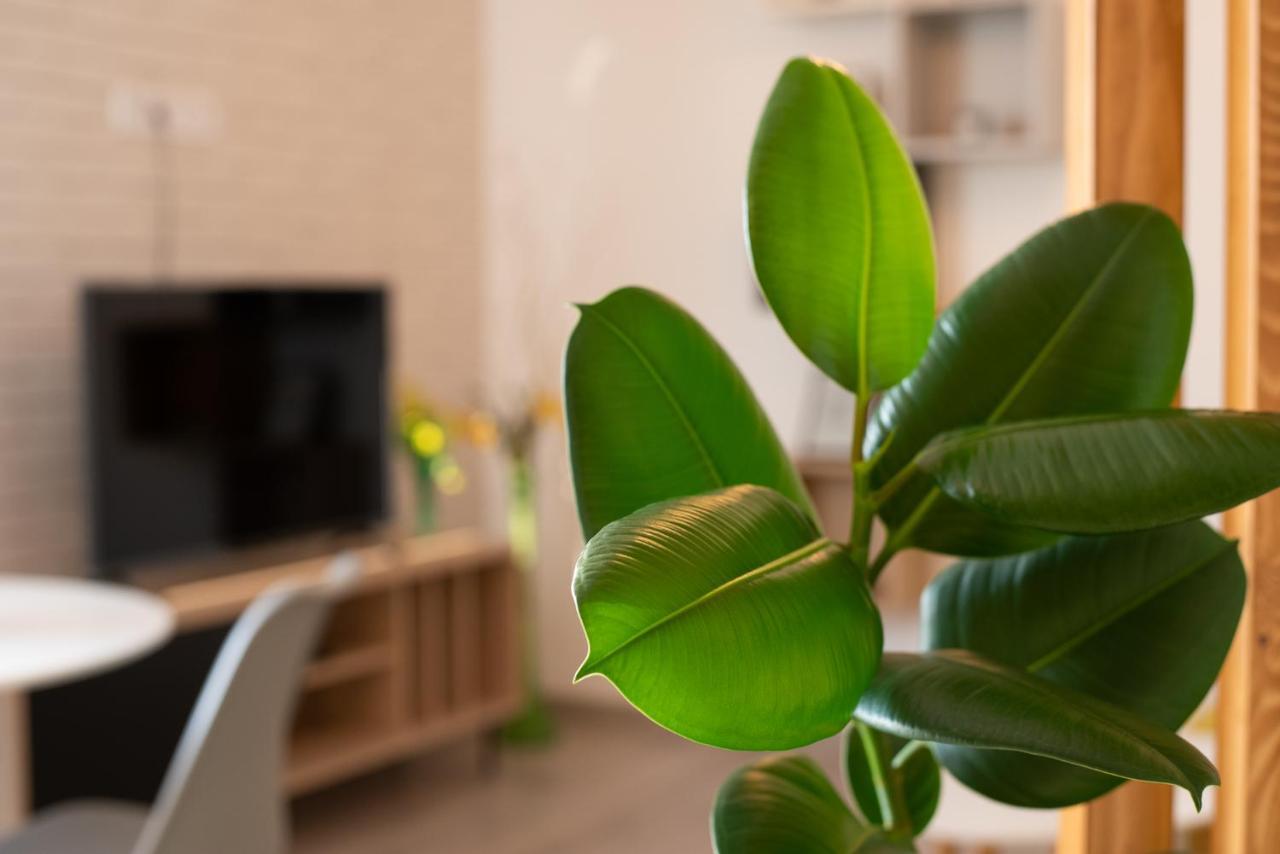 Art Apartment Târgu-Mureş Εξωτερικό φωτογραφία